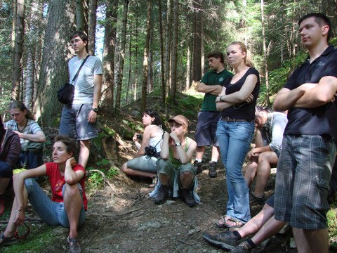 Plenterwald-Bewirtschaftung in Slowenien