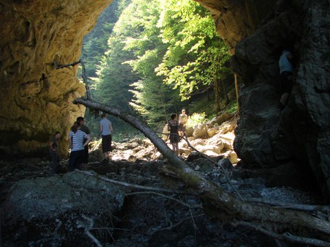 Karsthöhle nahe  Postojna/Slowenien 