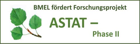 Logog ASTAT-PHASE 