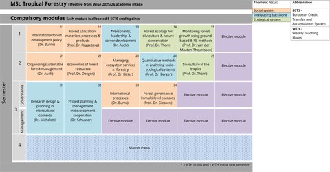 Visual representation of program structure