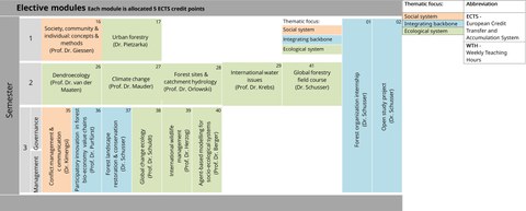 Visual representation of the program structure