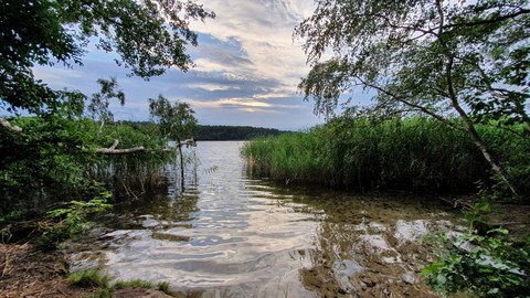 The photo shows a bathing area that was taken directly from the bank