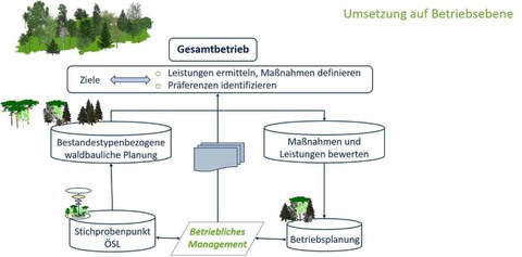 Managementkonzept für die Umsetzung einer ÖSL-orientierten Bewirtschaftung. Die Umsetzung auf Betriebsebene wird durch ein Flussdiagramm dargestellt.