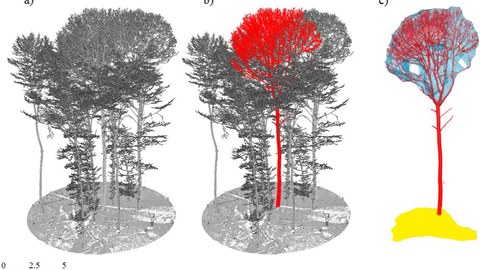 Auf dem Bild sind drei Punktwolken dargestellt; von links nach rechts: Registrierte Punktwolke mit mehreren Bäumen und Boden; b) einzelner segmentierter Baum in Rot; c) Kronenvolumen in Blau und Kronenprojektionsfläche in Gelb