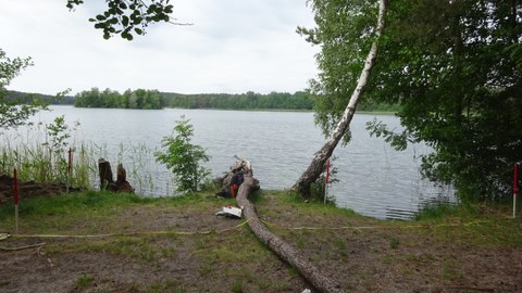 Das Bild zeigt einen Ausschnitt eines Seeufers, welches als Badestelle genutzt wird. Zu Forschungzwecken sind Fluchtstangen am Ufer gesteckt sowie ein Maßband ausgerollt.