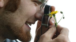 A scientist looks at a plant with a magnifying glass