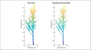 Die Abbildung zeigt jeweils in einem Koordinatensystem rechts einen Einzelbaum als Punktwolke und links den gleichen Einzelbaum als QMS-Modell. 