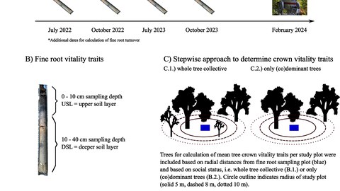 Die Abbildung beschreibt die verwendete Methodik