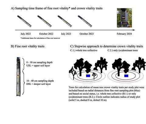 Die Abbildung beschreibt die verwendete Methodik