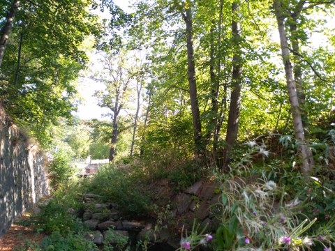 Das Foto zeigt einen Abschnitt des renaturierten Mortelbachs. Der Bachabschnitt ist von Bäumen umstanden, rechts ist eine gepflasterte Böschung, die von krautiger Vegetation überwuchert ist, links befindet sich eine Mauer.