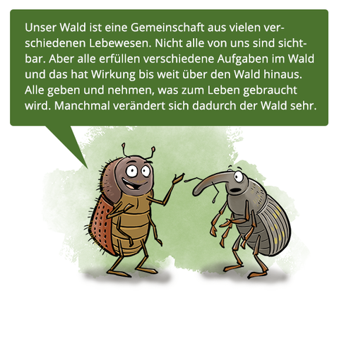 Zwei Waldinsekten unterhalten sich über Waldgemeinschaften