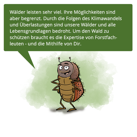 Zwei Waldinsekten unterhalten sich