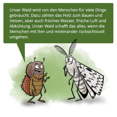 Zwei Waldinsekten unterhalten sich über Waldnutzung.