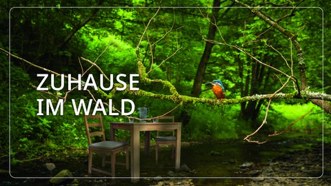 Kampagnenbild von Zuhause im Wald