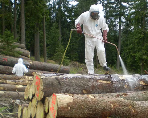 Person im Schutzanzug steht auf Holzpolter und spritzt PSM