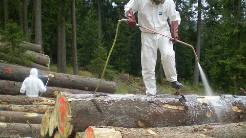 Person im Schutzanzug steht auf Holzpolter und spritzt PSM