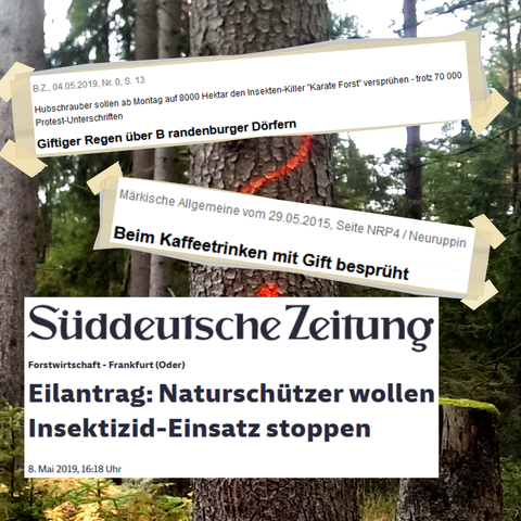 Überschriften aus Presseartikeln