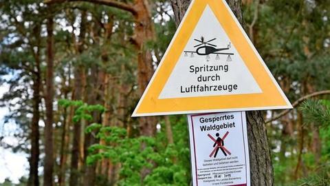 Schild vor Waldfläche mit Aufschrift Achtung begiftung betreten verboten