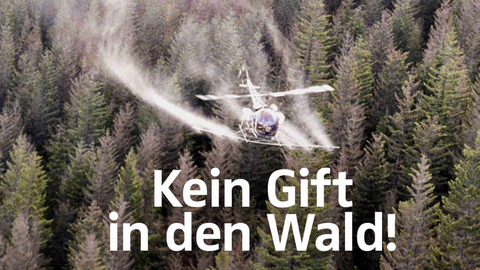 Hubschrauber fliegt über Waldfläche und spritzt PSM