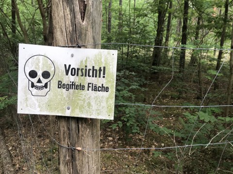 vor Waldfläche hängt Schild mit Totenkopf und Aufschrift: Vorsicht! Begiftete Fläche!