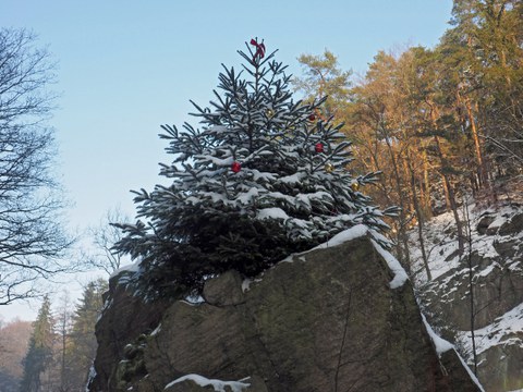 Weihnachtsbaum