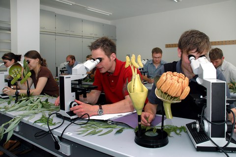 Bachelorstudiengang Forstwissenschaften