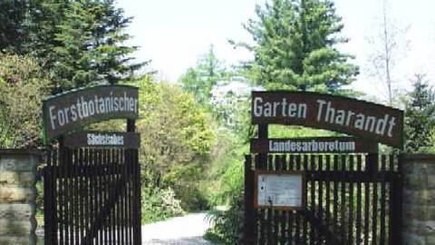 Forstbotanischer Garten, Tharandt