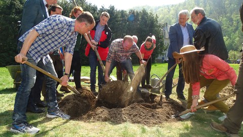 Baum des Jahres Pflanzung