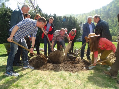 Baum des Jahres Pflanzung