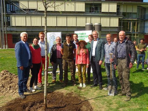 Baum des Jahres Pflanzung