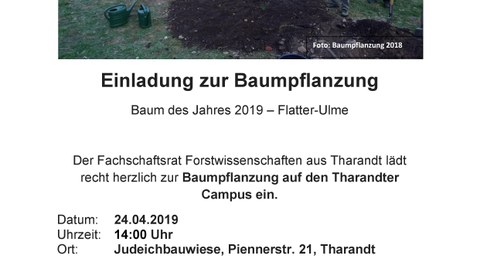 Einladung Baumpflanzung 2019