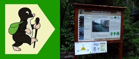 Schild Bodenlehrofad + Schautafel