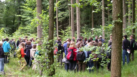 Waldbauübung im Tharandter Wald