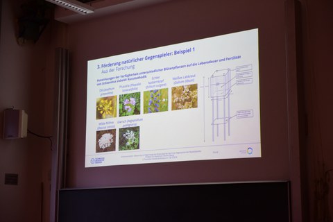 Der Schwerpunkt des zweiten Tages: Naturnahe Regulation von Schadorganismen