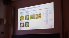 Der Schwerpunkt des zweiten Tages: Naturnahe Regulation von Schadorganismen