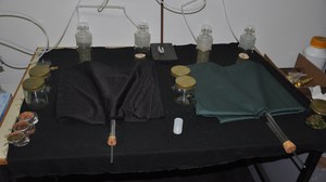 Y-Olfaktometerversuch