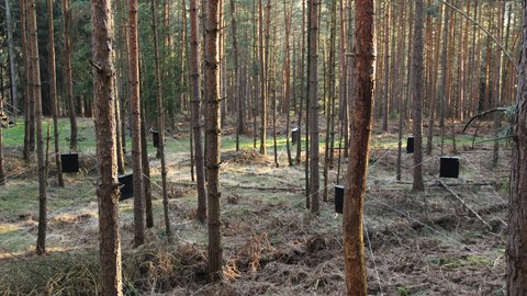 Projekt ReBek