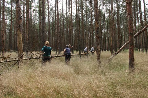 Teambildende Maßnahmen der Waldwegeberäumung