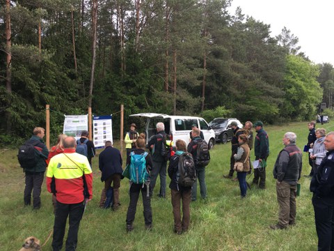 Präsentation des Verbundvorhabens THOR im Klosterforstrevier Miele