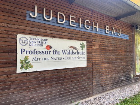 Herzlich willkommen im Judeich-Bau!