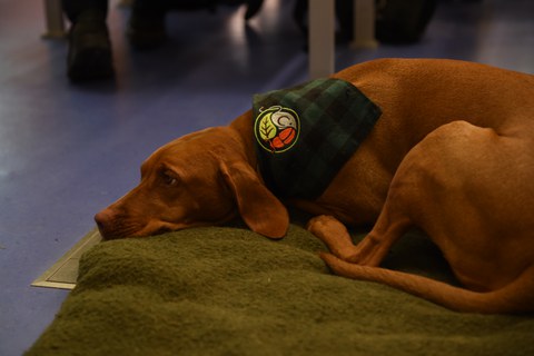 Niva, our most loyal audience