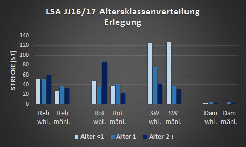 Erlegung Altersklassenverteilung