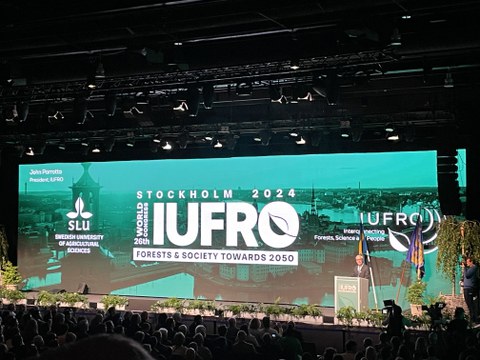 2024 IUFRO Eröffnung