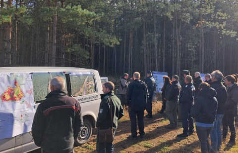 THOR-Thementage im Wald
