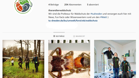 Instagram_WS