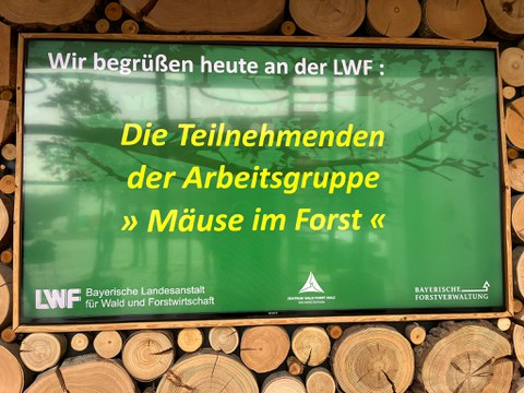 Mäusestammtisch 2026