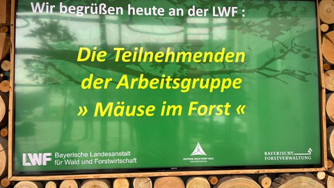 Mäusestammtisch 2026