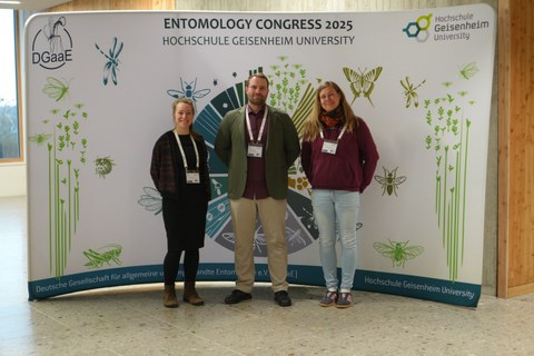 Nancy Krautz, Moritz Brunkau und Maike Larquette von der Professur für Waldschutz bei der DGaaE-Entomologentagung 2025