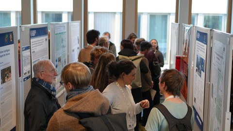 Postersession bei der DGaaE-Entomologentagung 2025