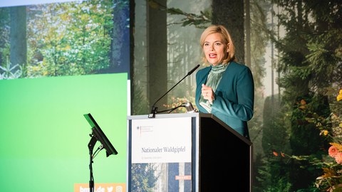 Waldgipfel 2019